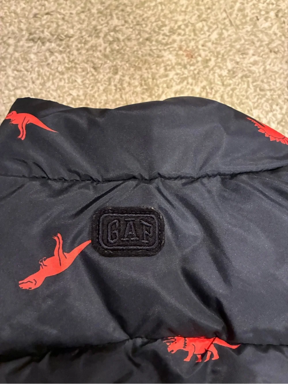 GAP euc snap